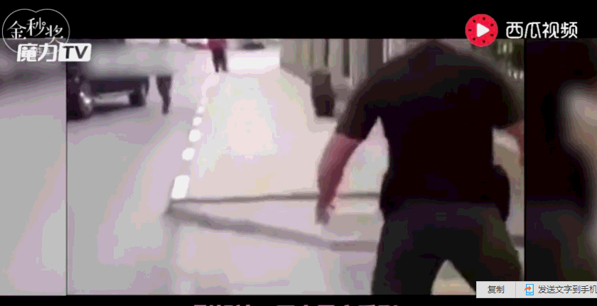 俄罗斯棕熊多没尊严?不敢惹狗,被路人10秒制服,还要吹唢呐卖艺