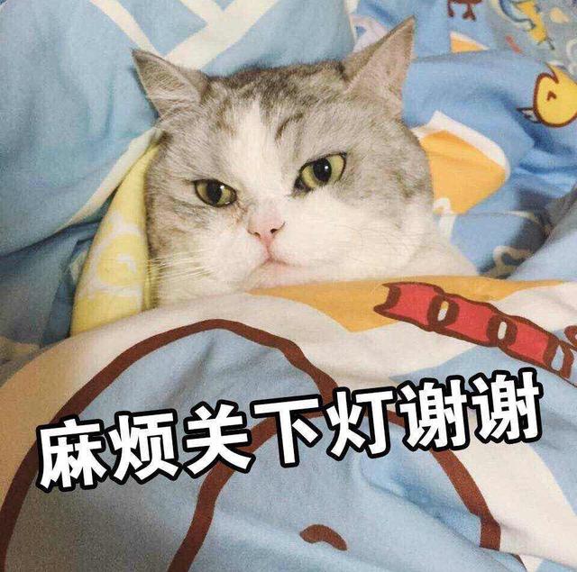 新扫到一组图片表情,赶快跟众猫奴分享一下表情猫咪淘宝包大全图片
