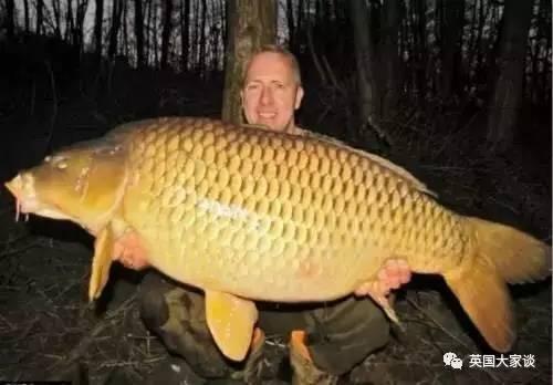 亚洲鲤鱼美国失控,悬赏70万刀惊动中国吃货!美军投2.7亿刀