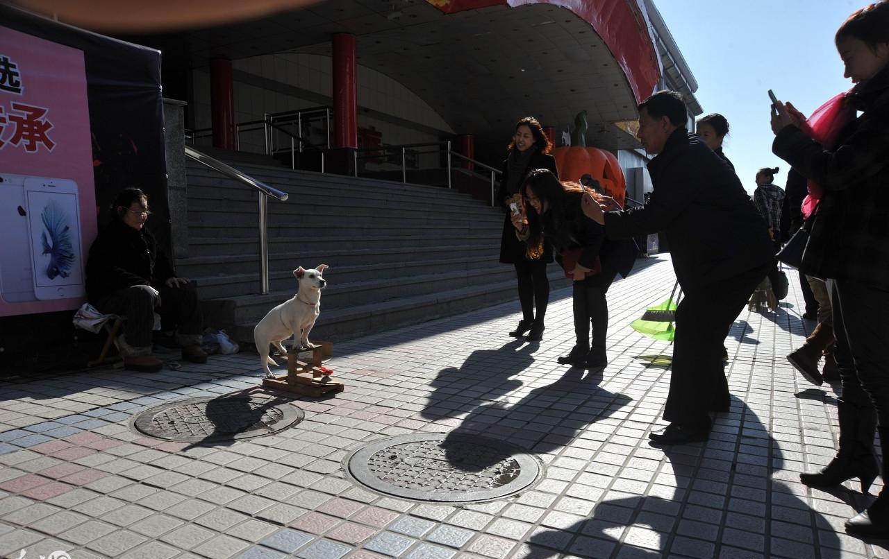 城市街头卖艺的人: 用自己的能力来赚钱, 为什么被当成是乞丐呢?