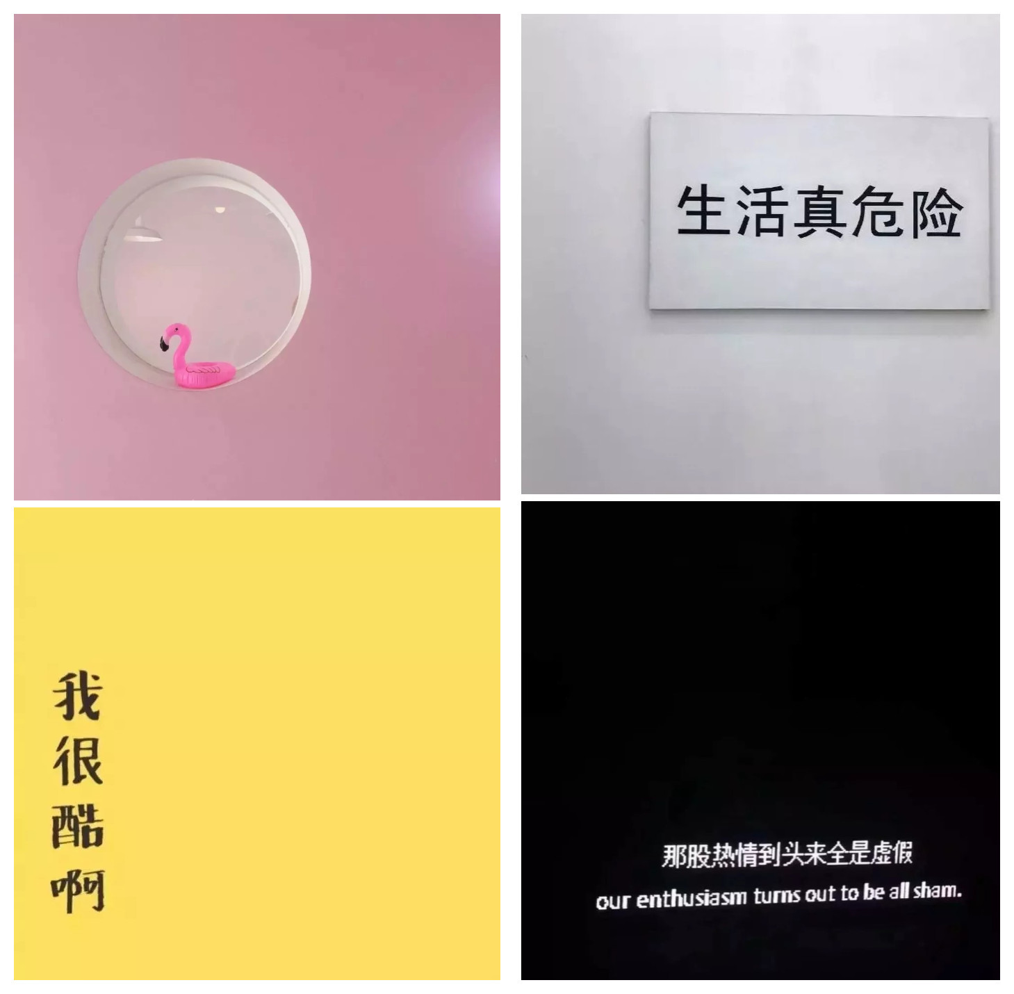 一组有趣背景图 | 生活真危险,早睡别秃头拿图戳 坪哟