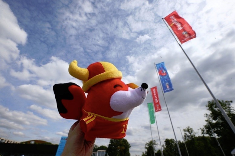 超强策划+互动直播,搜狐为球迷奉上世界杯饕餮