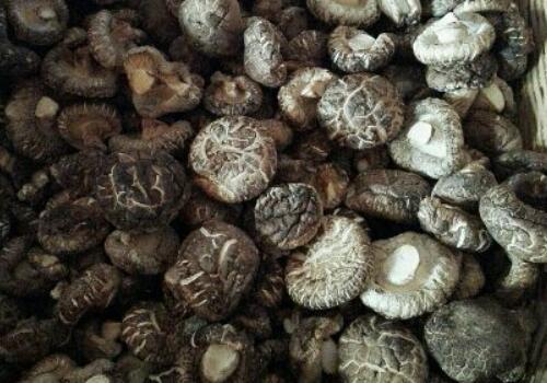 2018干香菇价格大约多少钱一斤?要泡多久才好