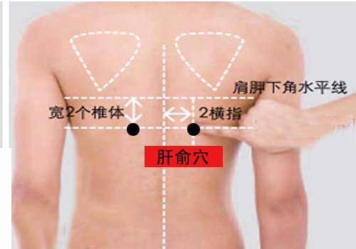 艾灸养肝的重要穴位图解，学会了自己在家就可以做。