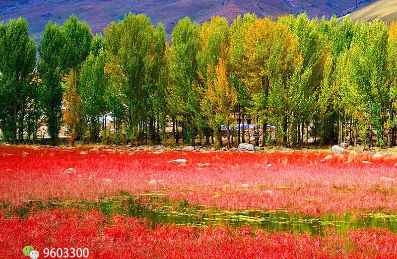 成都自驾稻城亚丁几月去最好? (附公里数)