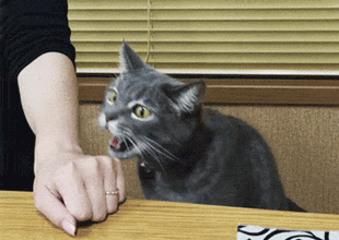 搞笑gif——经济不好,连绝地武士都改行了