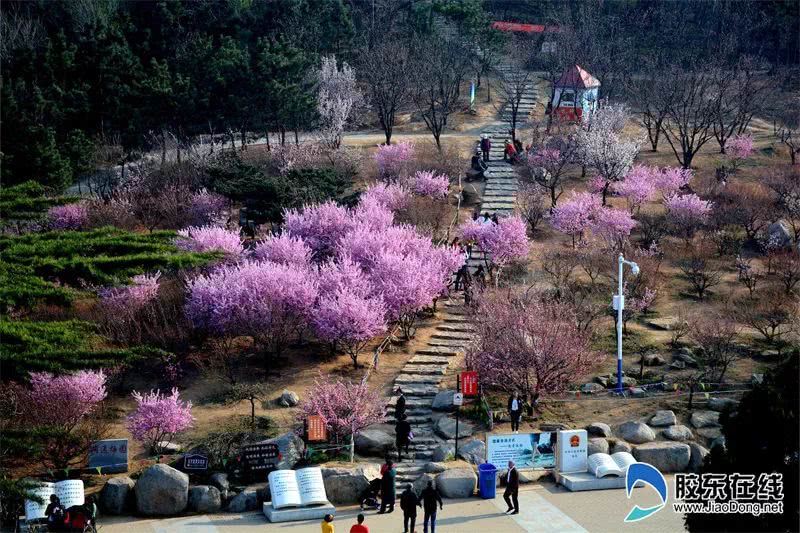 这哪里像是烟台，简直是……