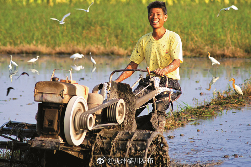 中国首个!黎川首次!趣味性强!中国农民丰收节