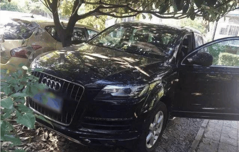 奥迪Q7车窗被砸, 车主看到车内后喜出望外说这下要发财了