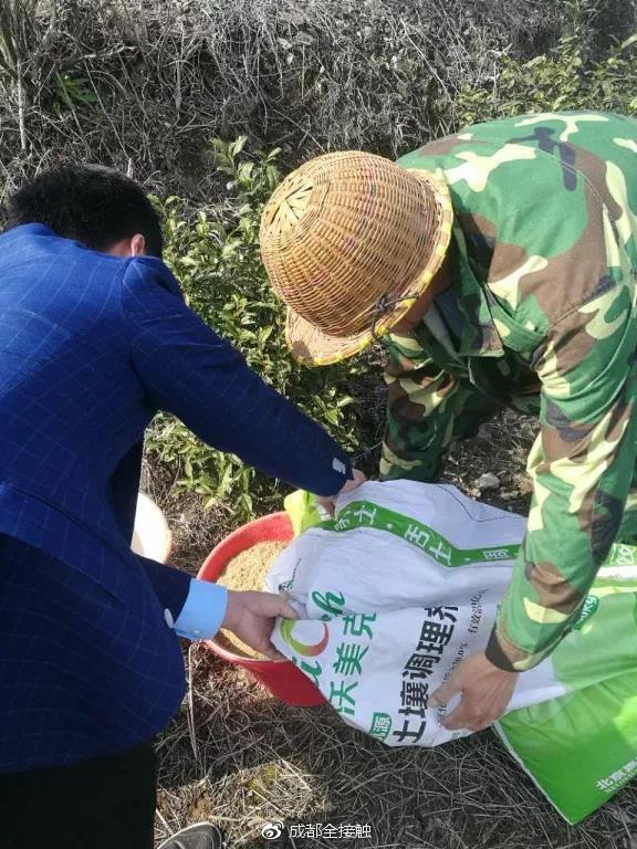 四川优质生态茶肥创新融合发展高峰论坛 5月登