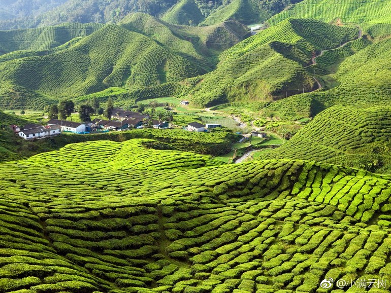 马来西亚(英语:Malaysia),简称大马