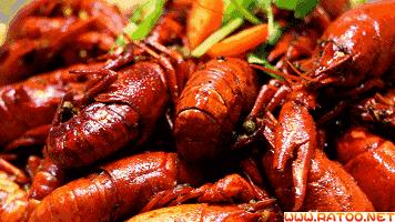 这个夏天，来盘小龙虾为德国队加油！！