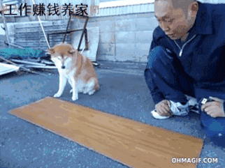 322_241gif 动态图 动图