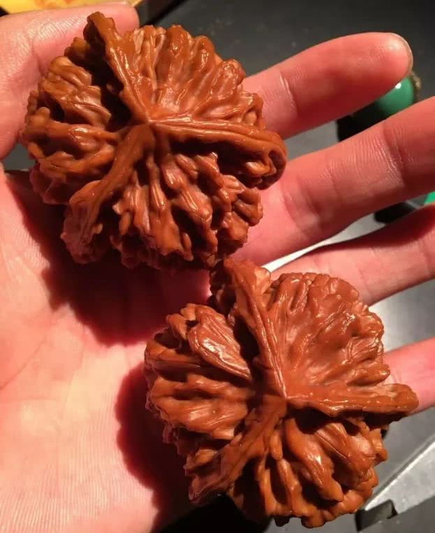 百年前的核桃 惊世骇俗!