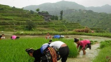 深藏着秘密的黔东南少数民族饭桌上的图腾