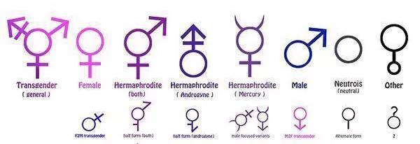 胎儿性别什么时候形成？精子和卵子相遇只是开始，还需...