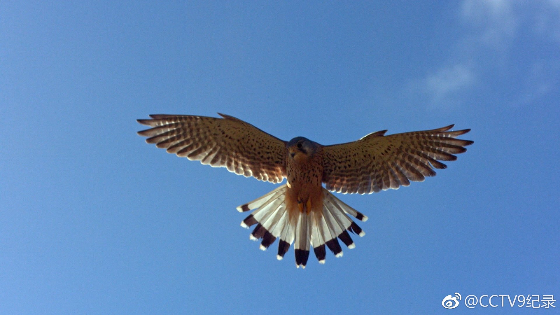 爱尔兰首都都柏林,一座拥有100多万人口的现代