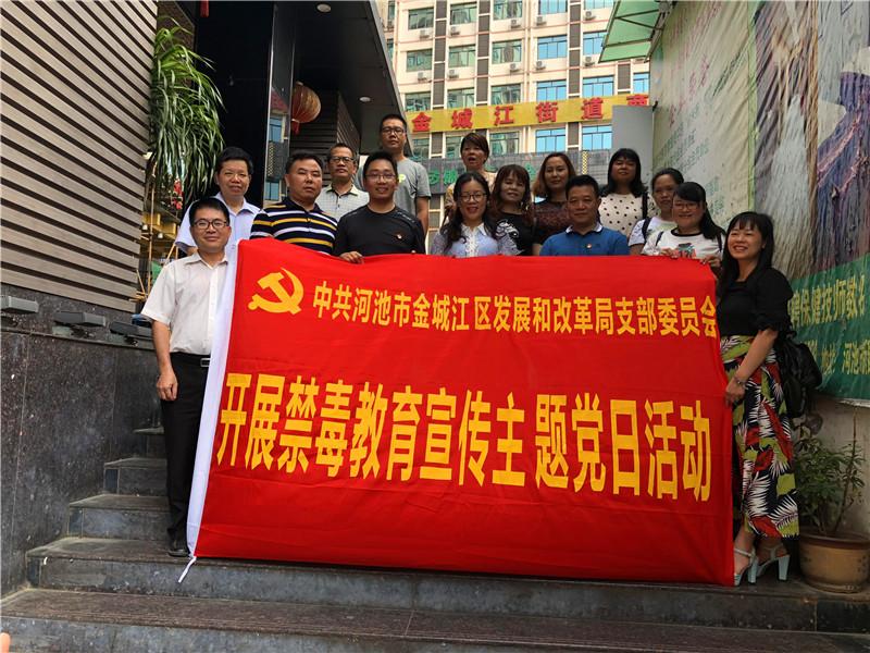 河池市金城江区发展和改革局党支部开展禁毒教