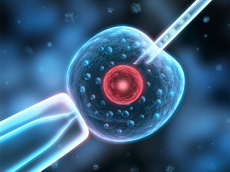 台湾试管婴儿需要多长时间?