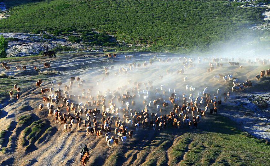 远途旅行汽车托运怎么选? 一个妙招帮你搞定