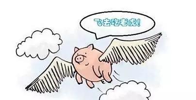 这4款“扮猪吃老虎”的车型，告诉你“车”也不可貌相