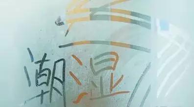 脸上能够挤出黄颗粒,这是毛囊虫的信号!要小心