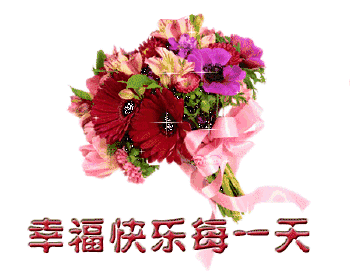 11月,111朵玫瑰花送给所有好友!太美了!