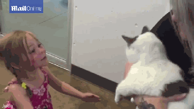 然后一个手里抱猫的人走进来,小女孩妈妈问她: