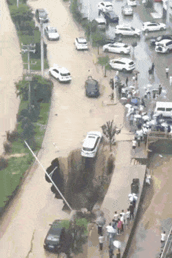 搞笑gif笑话:朋友有难,我必须跟她一起扛!