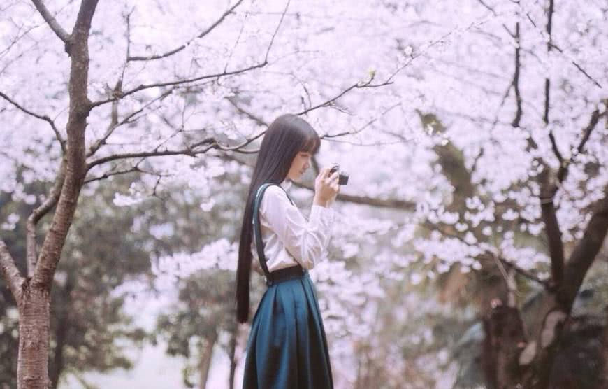 曾在樱花树下拍过照片的女神们