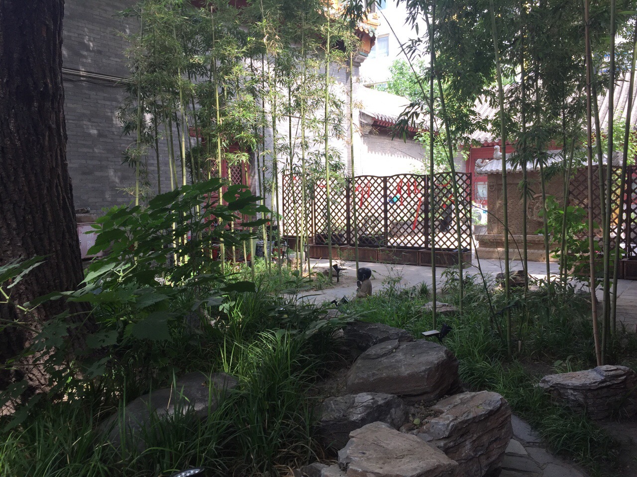 胜地花开香雪海,妙林经说大罗天。