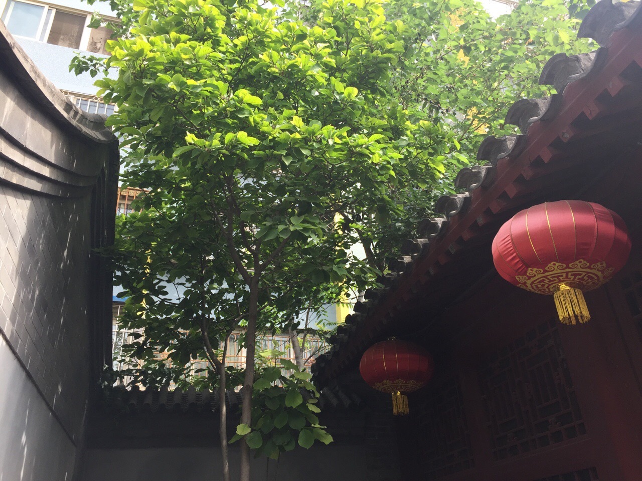 胜地花开香雪海,妙林经说大罗天。