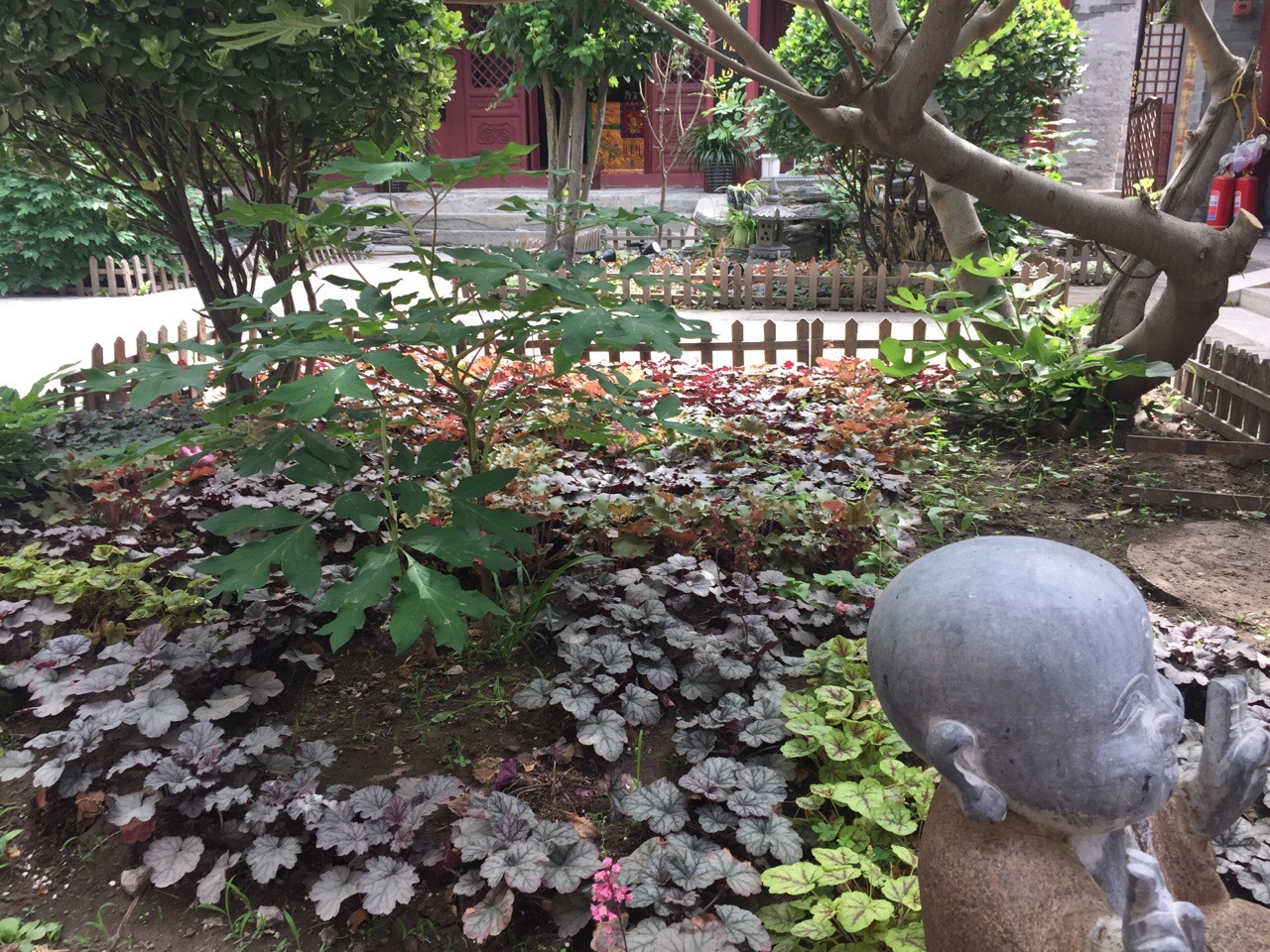 胜地花开香雪海,妙林经说大罗天。