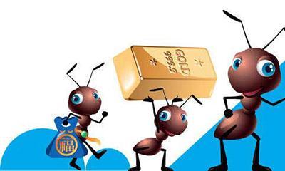 你在支付宝里蚂蚁财富买的基金现在怎么样了?