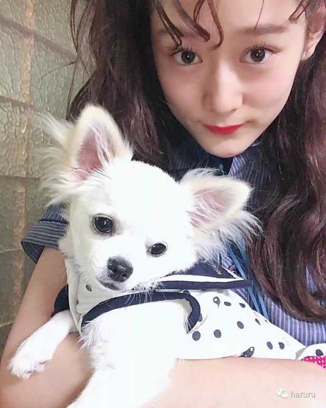 日本矮模特们爱用的10大修图APP