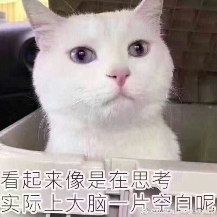 表情笑的神看看之动态系列开始那些年压箱表情回复v表情最好包啦图片