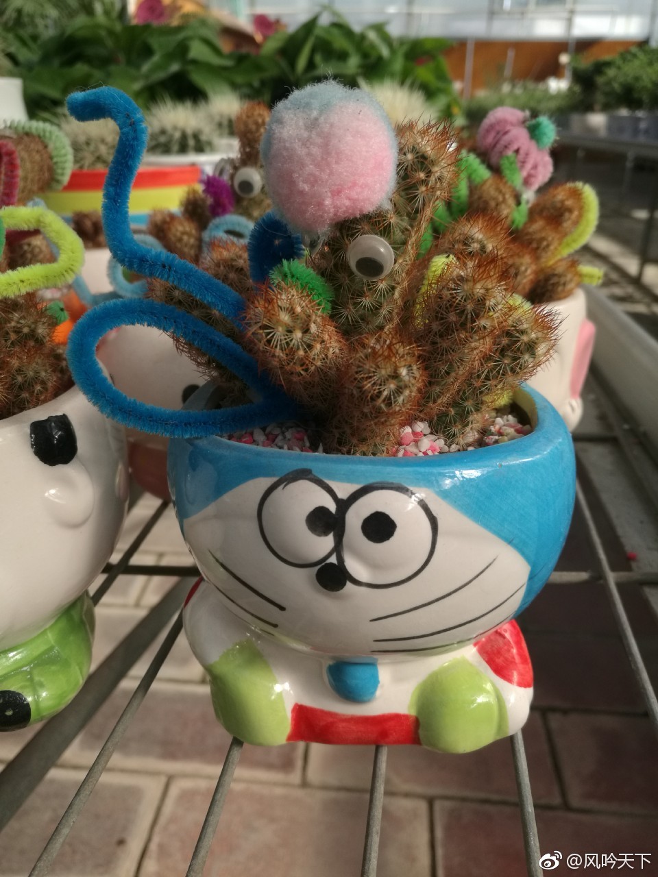 皇城相府生态园,各种奇树异果,一个涨姿势的高