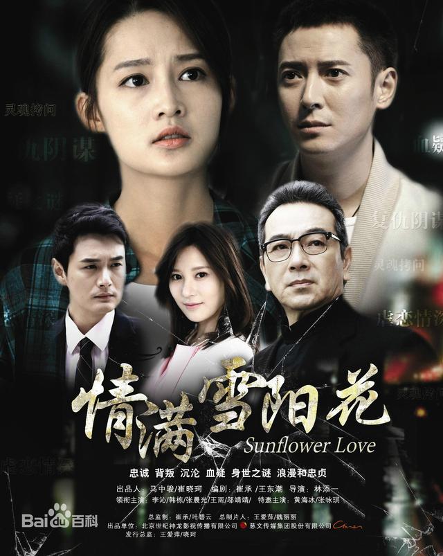 电视剧有哪些 新浪网