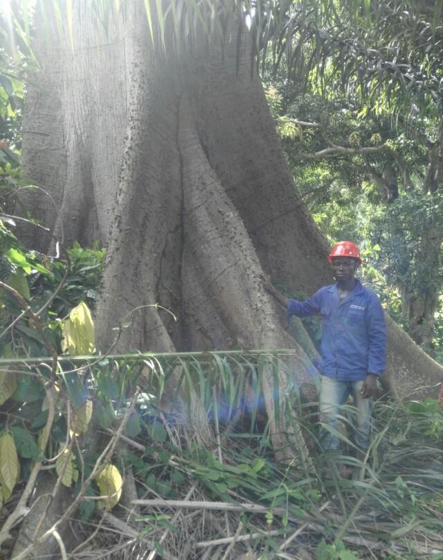 在非洲的中字头施工队上班是什么体验? 待遇到