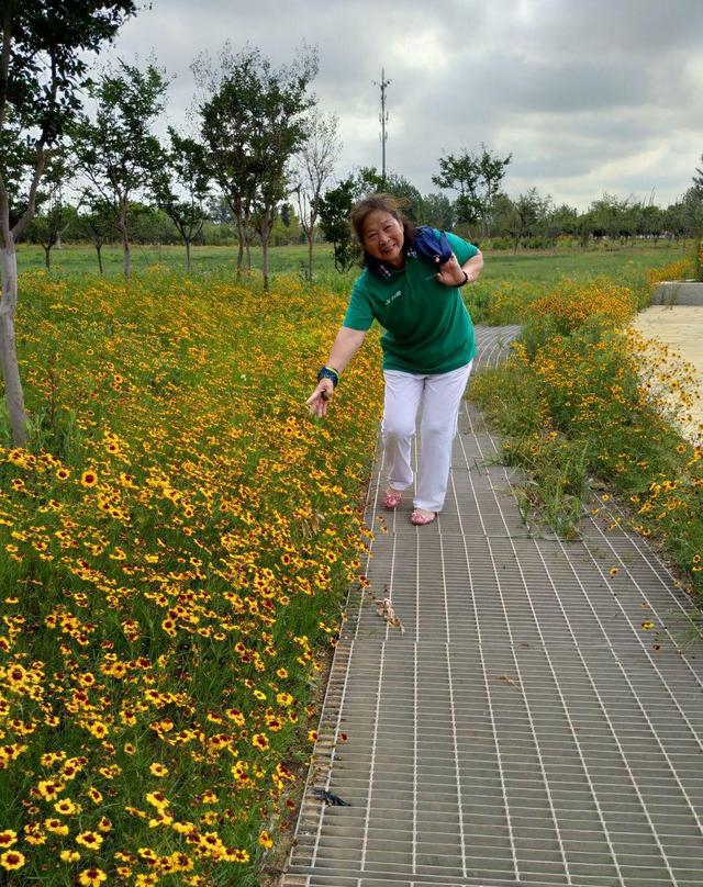 烟台夹河湿地公园很美,遍地鲜花,荷塘里荷花开的正好