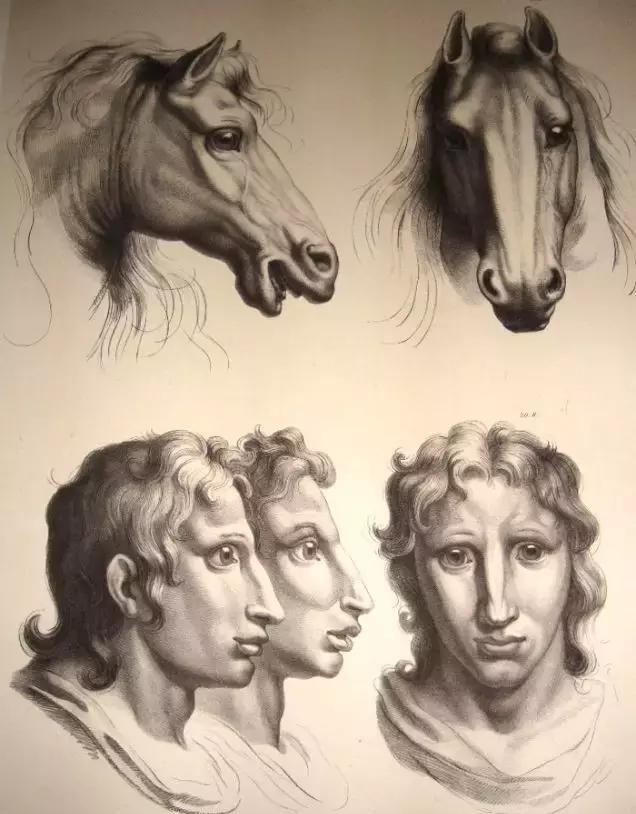 骆驼疯狂猜成语是什么成语_疯狂猜成语骆驼太阳仙人掌成语图片答案介绍