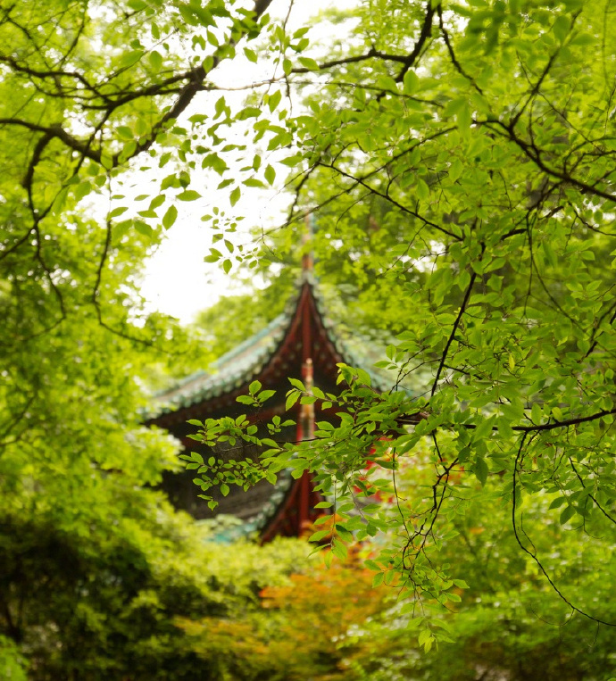 三载尘劳虑,翻然尽一除。 园林未摇落,庭菊正扶