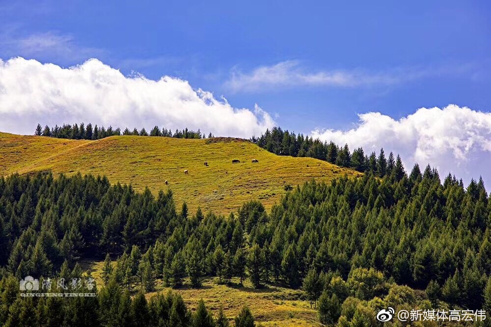 国家aaaa级旅游景区苏木山是内蒙古最大的人工林场