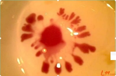 古人的滴血认亲办法为什么不可靠