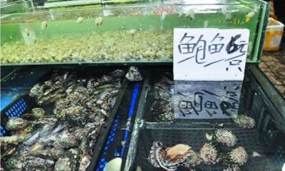 周末去海鲜市场买鲍鱼，我随口一说买3头的，店主直呼：真会买