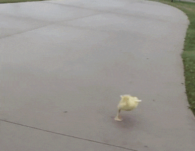 gif搞笑趣图:这个睡姿好像缺点啥|睡姿|丫子|趣图