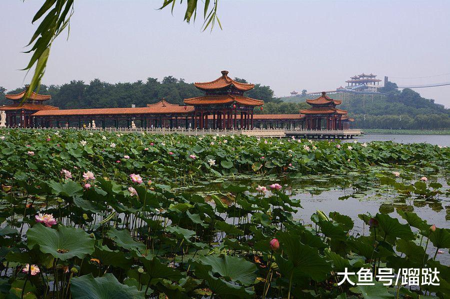 暑假想带孩子去看海, 哪里有经济实惠又不落俗