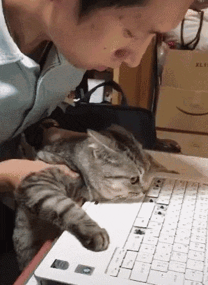 猫咪抠坏键盘被主人抓来质问,喵:你确定要凶我?你不爱