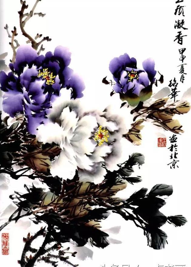 他被称为"牡丹王",其写意牡丹清新灵妙,神韵天成!