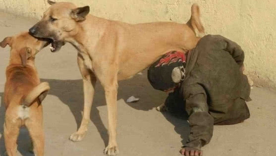 加加料的牛奶风衣母狗_牛奶图片卡通(3)